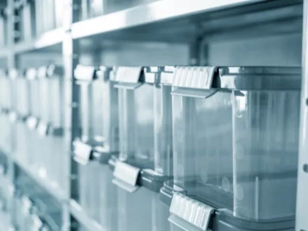 Plastic totes stacked in rows, showing the issue with using plastic storage containers for moving.