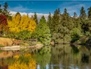 Davis, California