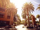 Palo Alto. CA