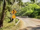 Curvy road and warning sign, showing a very dangerous road in the United States.