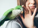 Woman petting her pet bird during a move.